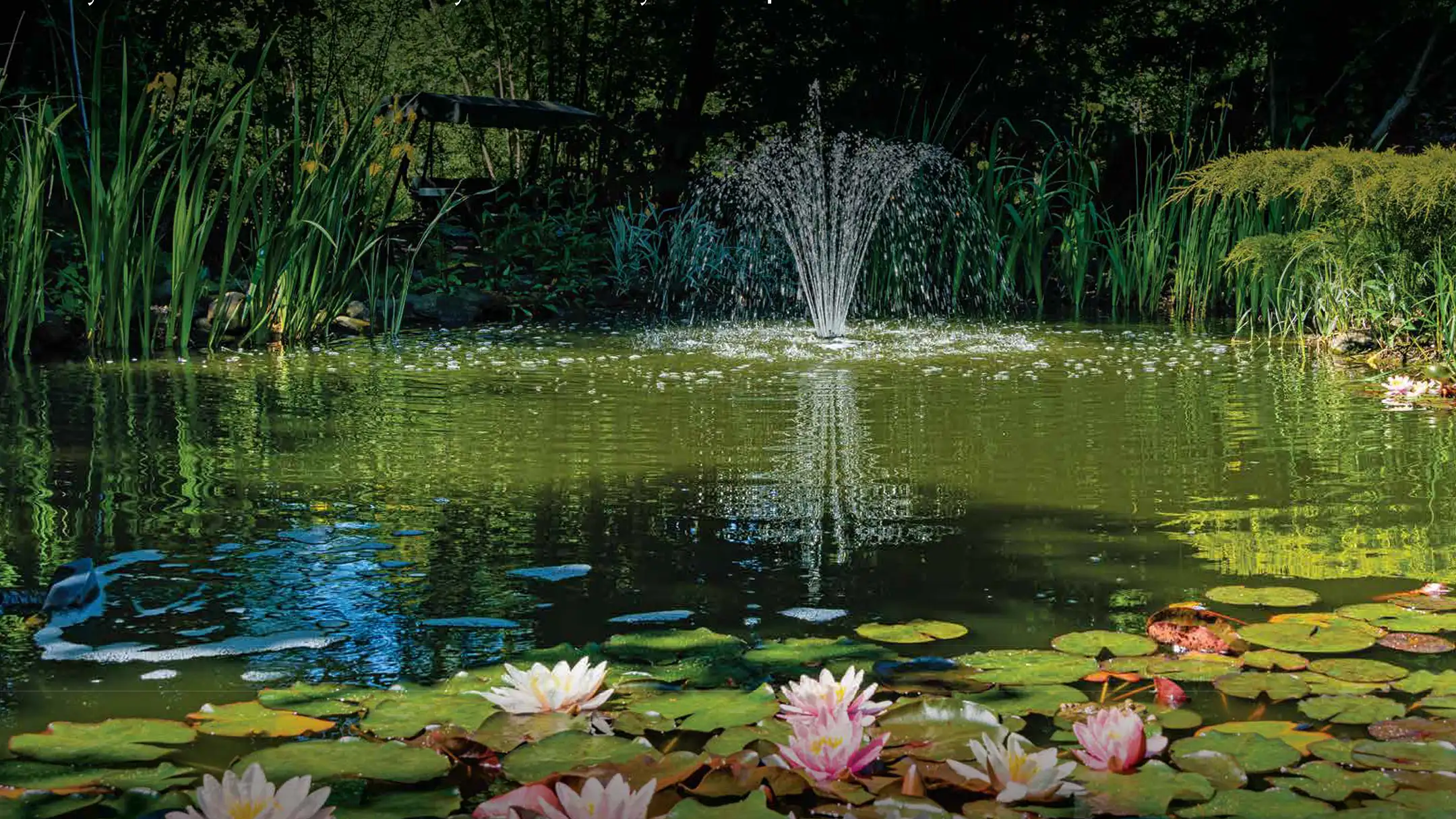 Godrej Blue 5 Godrej Blue Images 7